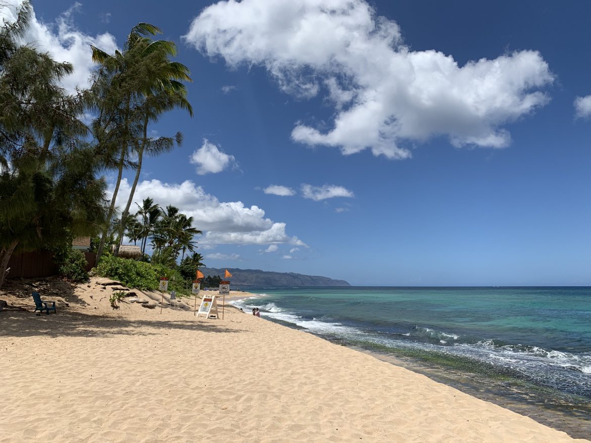 Laniakea Beach